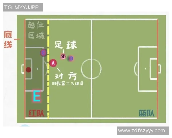 足球知识卡片:深入了解足球规则技巧与历史的全面指南 足球知识卡片:深入了解足球规则技巧与历史的全面指南