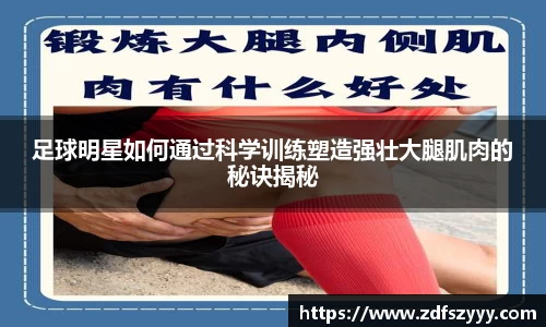 ob欧宝电竞官方网站